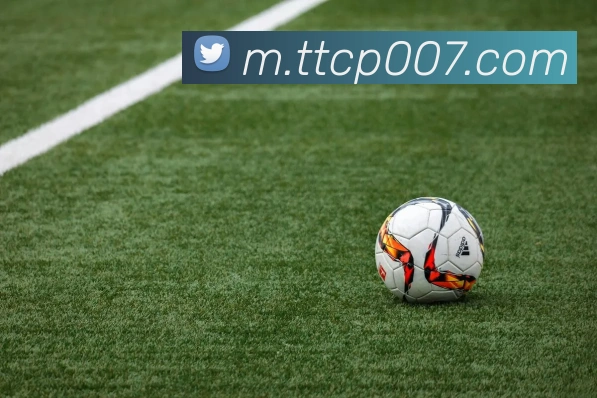 天天彩票官方网站发展历程